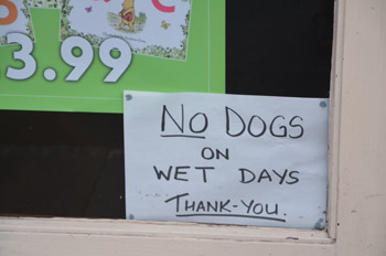 No dogs